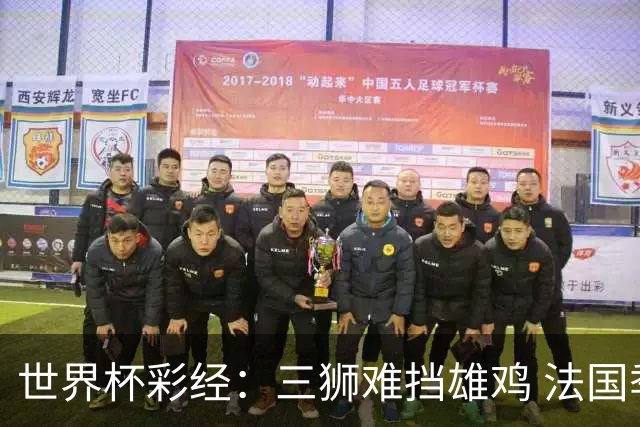 世界杯彩经：三狮难挡雄鸡 法国季军收官